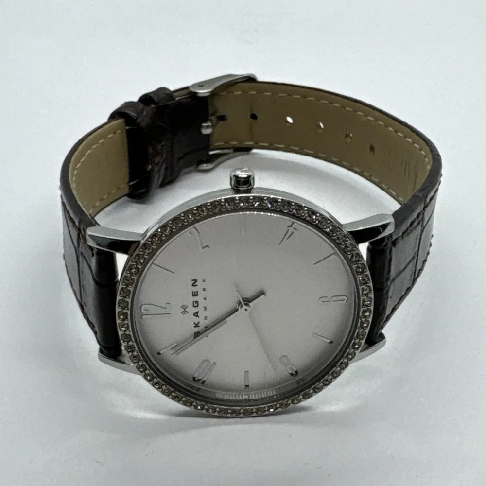 Skagen Denmark SKW2284 Women Brown Leather Analog Dial Quartz Wrist Watch AEA288
